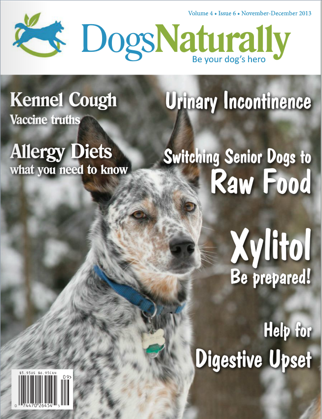 Dogs Naturally Nov 2013 Cover