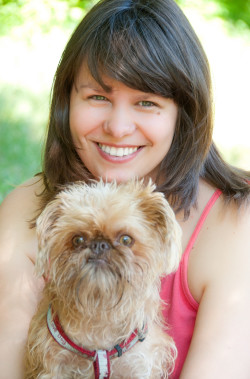 A dog eyeing Thanksgiving leftovers on the table