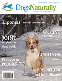 Dogs Naturally Jan 2013 Cover